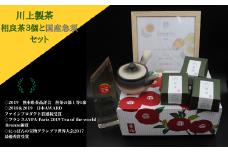 川上製茶 相良茶3個と国産急須のセット  