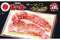 くまもとあか牛 サーロイン ステーキ 約500g 精肉 冷凍 