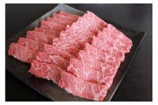 熊本県産 赤牛 特選焼肉 500g あか牛 牛肉 お肉 肉 焼肉 焼き肉 やきにく カット 赤身 