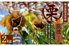 相良村産 栗 筑波 2kg 熊本県産 くり クリ 【2025年9月下旬発送予定】