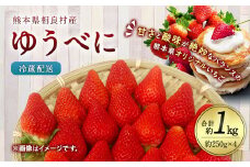 相良村産 いちご「ゆうべに」 250g×4パック 日野農園 【2025年12月上旬～2026年4月下旬発送予定】 熊本県産 苺 イチゴ フルーツ くだもの 果物