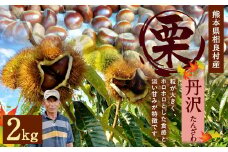 相良村産 栗 丹沢 2kg 熊本県産 くり クリ 【2025年8月下旬発送予定】