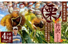 相良村産 栗 丹沢 4kg 熊本県産 くり クリ 【2025年8月下旬発送予定】