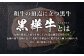 くまもと黒毛和牛 杉本本店 黒樺牛 A4~A5等級 ロースステーキ 200g×2 計400g