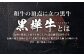 くまもと黒毛和牛 杉本本店 黒樺牛 A4~A5等級 肉厚サーロインステーキ 300g