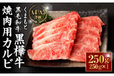 くまもと黒毛和牛 杉本本店 黒樺牛 A4~A5等級 焼肉用カルビ 250g