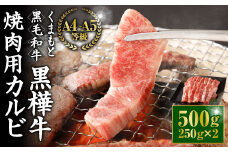 くまもと黒毛和牛 杉本本店 黒樺牛 A4~A5等級 焼肉用カルビ 250g×2 計500g