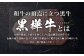 【3回定期便】くまもと黒毛和牛 杉本本店 黒樺牛 A4~A5等級 サーロインステーキ定期便 400g×3回