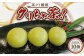 相良村 茶クリ饅頭 クリちゃ茶！ 45g×10個 お茶 球磨栗 栗 熊本