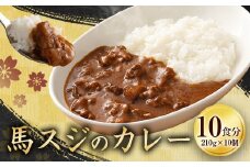 馬スジのカレー 10食 セット 合計2.1kg カレー レトルト