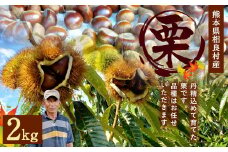 熊本県 相良村産 栗（品種おまかせ） 2kg×1袋 くり クリ 【2025年8月下旬発送開始】