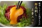 鮮馬刺し 赤身 ユッケ 10個セット 約500g