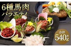 馬肉 バラエティ 計540g 6種 タレ付き 馬刺 馬刺し 赤身 コウネ フタエゴ ユッケ トロ ハンバーグ 馬 肉 切落し スライス