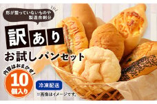 数量限定！訳ありお試しパンセット10個 パン 食パン 惣菜パン 菓子パン 詰め合わせ 朝ごはん おやつ 軽食 手作り てづくり