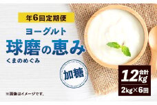 【定期便 年6回】球磨の恵み ヨーグルト 加糖 2kg×6回 合計12kg 乳製品 生乳 朝食 おやつ スイーツ ジャム 冷蔵