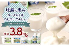 球磨の恵み ヨーグルト 2パック & ドリンクヨーグルト 8本 セット 乳製品 生乳 乳飲料 朝食 おやつ のむヨーグルト 冷蔵 相良村