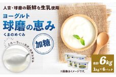 球磨の恵み ヨーグルト 加糖 1kg×6パック 乳製品 生乳 朝食 おやつ 相良村