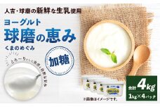 球磨の恵み ヨーグルト 加糖 1kg×4パック 乳製品 生乳 朝食 おやつ 相良村