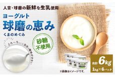 球磨の恵み ヨーグルト 砂糖不使用 1kg×6パック 乳製品 生乳 朝食 おやつ 相良村