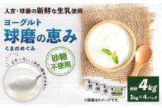 球磨の恵み ヨーグルト 砂糖不使用 1kg×4パック 乳製品 生乳 朝食 おやつ 相良村  