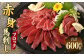 赤身 馬刺し ブロック 約600g (約100g×6パック)