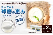 球磨の恵み ヨーグルト (加糖) 合計 2kg (1kg×2パック) 乳製品 生乳 朝食 おやつ 相良村