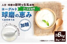 【3ヶ月定期便】 球磨の恵み ヨーグルト (加糖) 合計 6kg (1kg×2パック)×3回 乳製品 生乳 朝食 おやつ 相良村
