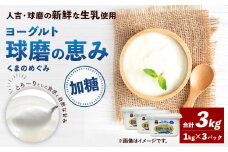 球磨の恵み ヨーグルト (加糖) 合計 3kg (1kg×3パック) 乳製品 生乳 朝食 おやつ 相良村