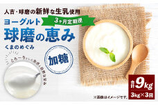 【3ヶ月定期便】 球磨の恵み ヨーグルト (加糖) 合計 9kg (1kg×3パック)×3回 乳製品 生乳 朝食 おやつ 相良村
