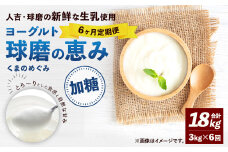 【6ヶ月定期便】 球磨の恵み ヨーグルト (加糖) 合計 18kg (1kg×3パック)×6回 乳製品 生乳 朝食 おやつ 相良村