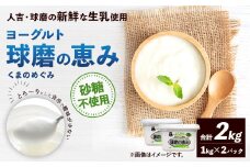 球磨の恵み ヨーグルト (砂糖不使用) 合計 2kg (1kg×2パック) 乳製品 生乳 朝食 おやつ 相良村