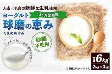 【3ヶ月定期便】 球磨の恵み ヨーグルト (砂糖不使用) 合計 6kg (1kg×2パック)×3回 乳製品 生乳 朝食 おやつ 相良村