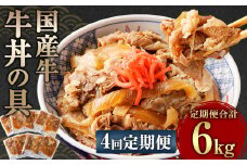 【定期便4回】牛丼の具 150g×10パック 1.5kg 合計6kg