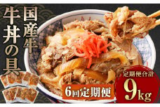【定期便6回】牛丼の具 150g×10パック 1.5kg 合計9kg