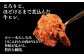 【訳あり】具だくさん やわらか牛ヒレひもカレー 250g×6パック 計1.5kg