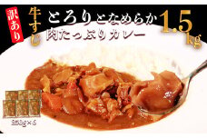 【訳あり】具だくさん やわらか牛すじカレー 250g×6パック 計1.5kg