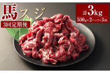 【3ヶ月定期便】 馬スジ1kg（500g×2パック） 合計3kg 馬肉 お肉 煮込み