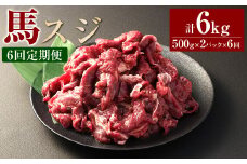 【6ヶ月定期便】 馬スジ1kg（500g×2パック） 合計6kg 馬肉 お肉 煮込み