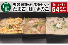 【1ヶ月毎6回定期便】 五穀米雑炊 3種セット（たまご・鮭・きのこ） 計54パック（9パック✕6回） 五穀米 雑炊 うるち米