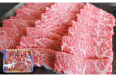 G21Q 厳選されたGI認証 くまもとあか牛 特選焼肉用 約500g あか牛 赤牛 焼肉 牛肉 ブランド牛 お肉