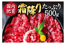【ふるさと納税】 熊本馬刺し 霜降りたっぷり500g （50g×10パック） 専用醤油付き