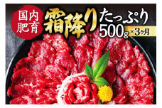 【3ヶ月定期便】【ふるさと納税】 熊本馬刺し 霜降りたっぷり500g （50g×10パック） 専用醤油付き