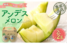相良村産 春メロン（アンデス） 2玉（2L以上） 【2025年4月下旬～5月下旬発送予定】 果物 フルーツ アンデスメロン