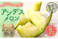 相良村産 春メロン（アンデス） 2玉（2L以上）