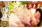 くまもと直送 天草大王 とりすき鍋セット （1～2人前）