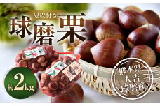 球磨栗（鬼皮付き） 2kg【2025年9月下旬～10月下旬発送予定】 栗 くり 和栗 果物 果実 フルーツ 厳選 熊本県 相良村 冷蔵