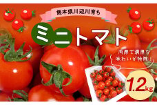 川辺川育ち ミニトマト 1.2kg とまと トマト 野菜 やさい 熊本県産 【2026年1月上旬～1月下旬発送予定】