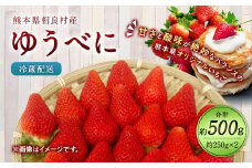 相良村産 いちご「ゆうべに」 250g×2パック 日野農園 【2025年12月上旬～2026年4月下旬発送予定】 熊本県産  いちご 苺 フルーツ 果物 くだもの ゆうべに おやつ