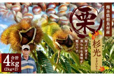 相良村産 栗 杉光 4kg 熊本県産 くり クリ 【2025年9月上旬発送予定】