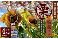 相良村産 栗 筑波 4kg 【2025年9月下旬発送開始】 くり クリ 熊本県産